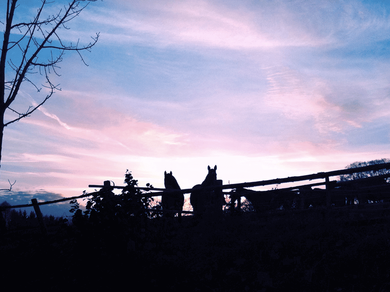 Sonnenuntergang auf der Reitanlage Gut Holzen